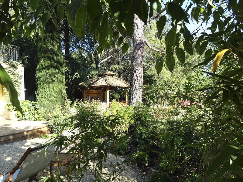 villa lumières, luberon, Goult, espace détente, paillote